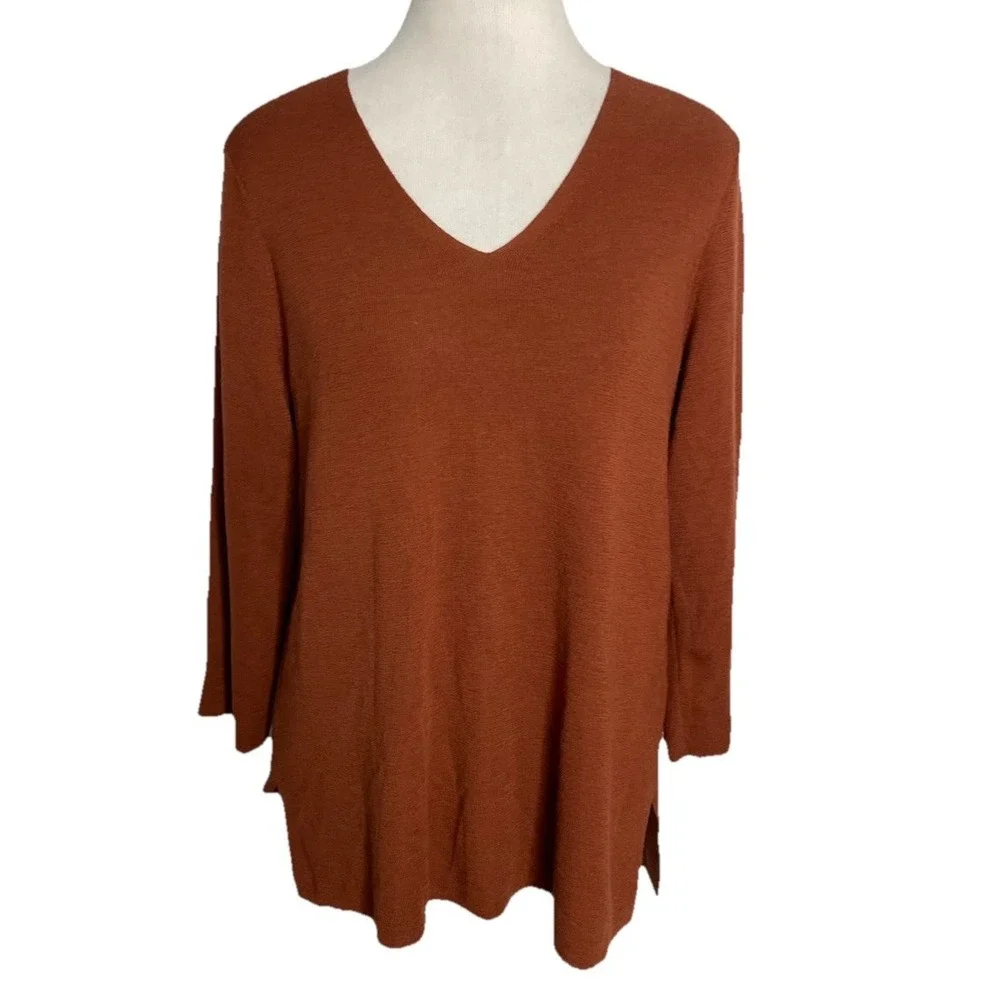 Eileen Fisher Brown Merino Wool V Neck L Pullover Sweater Medium Capsule Classic